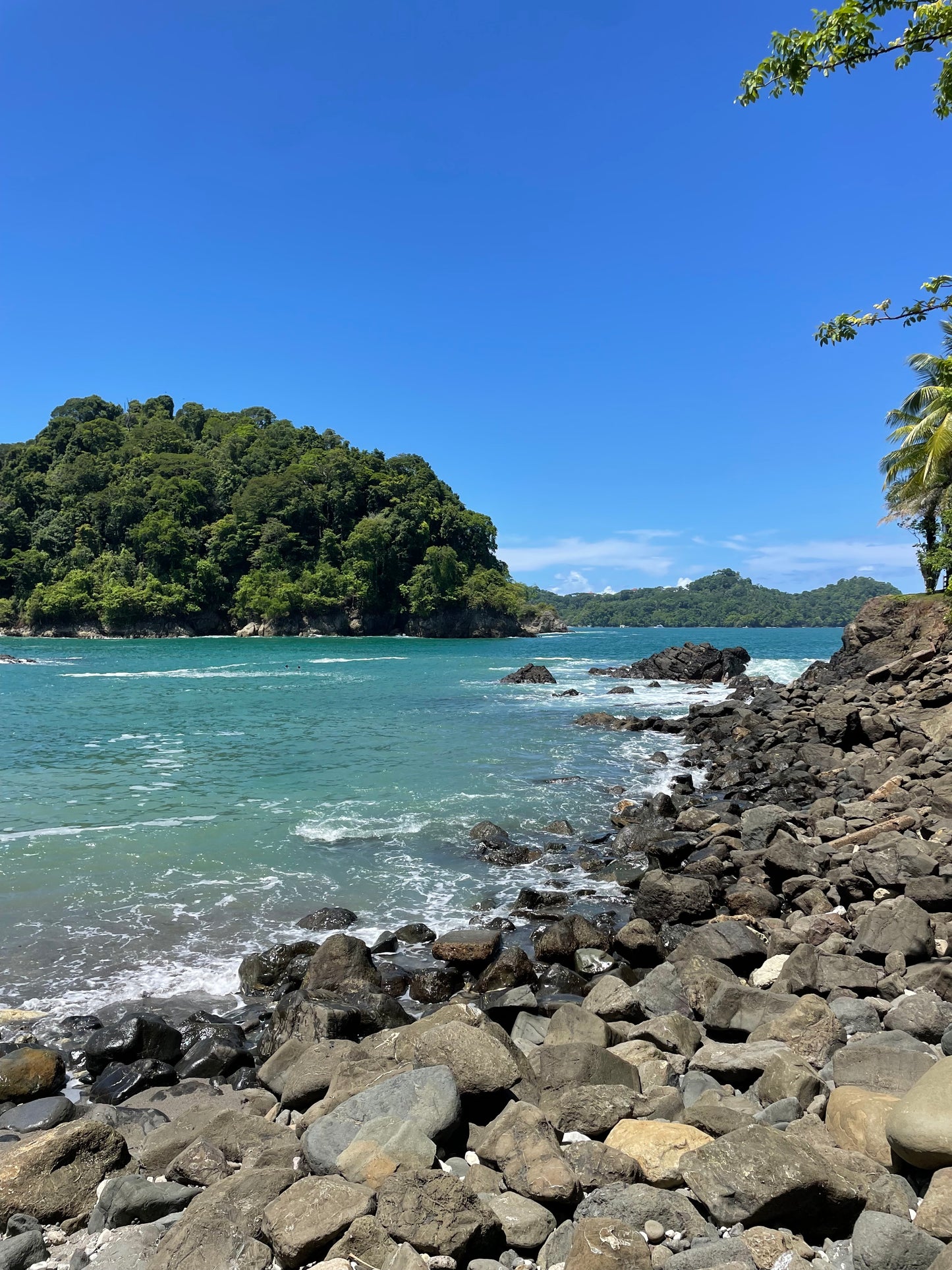 200 Hour 17 Day International Teacher Training Program July 2026 (Costa Rica)