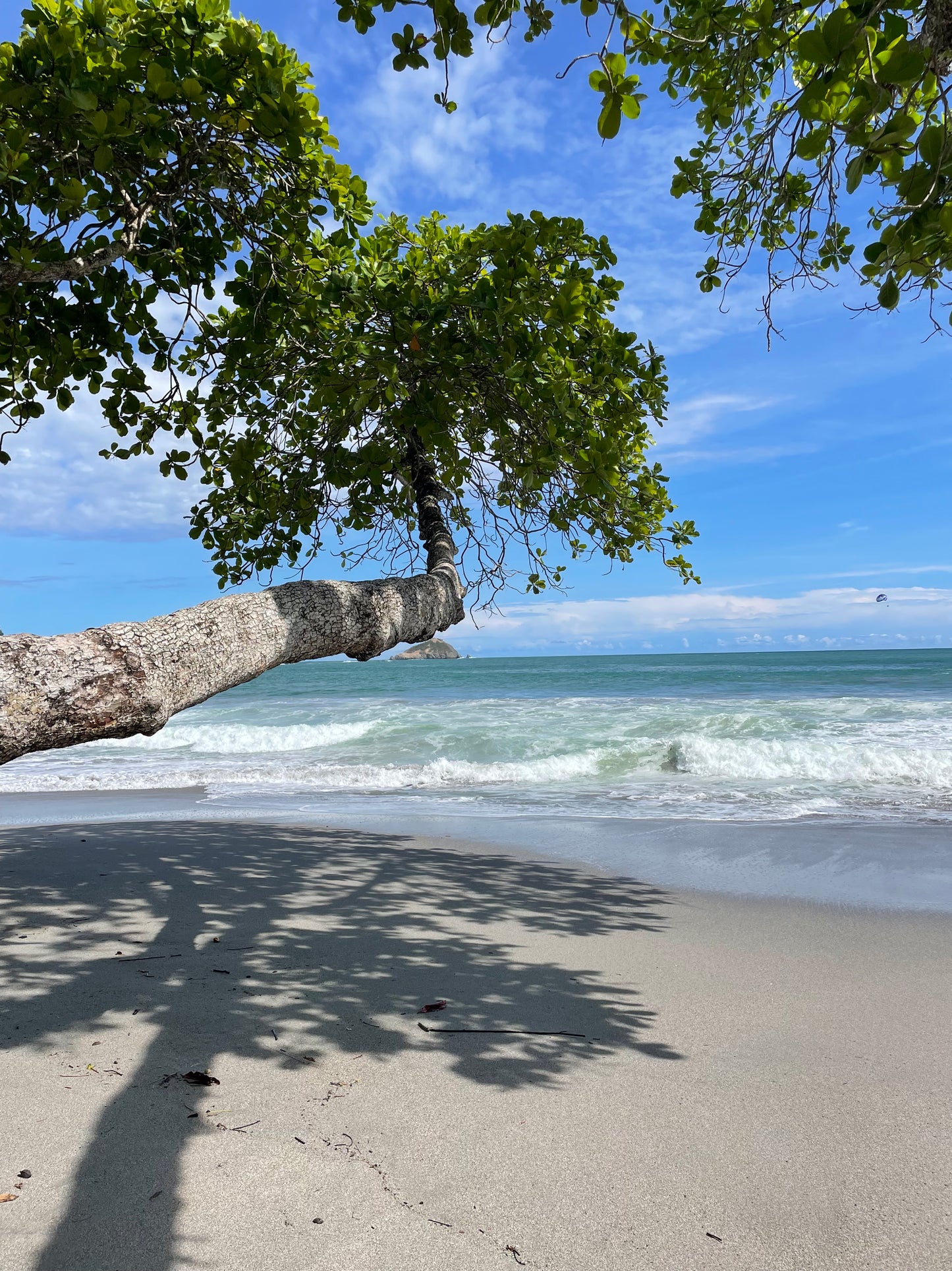 200 Hour 17 Day International Teacher Training Program July 2026 (Costa Rica)