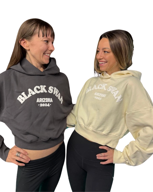 BSY Arizona Crop Hoodie