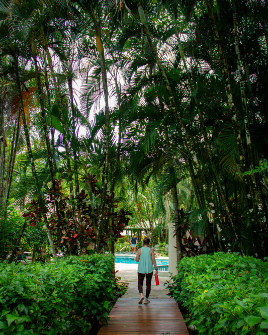 200 Hour 17 Day International Teacher Training Program June, 2027 (Costa Rica)