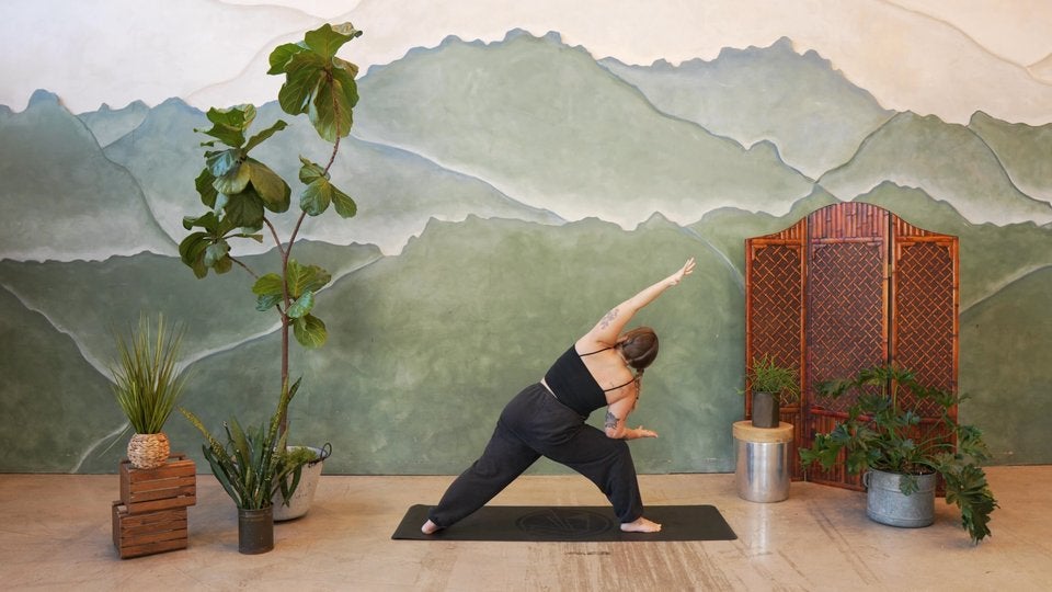 Prenatal Training: 300 HR Weekend Module with Brett